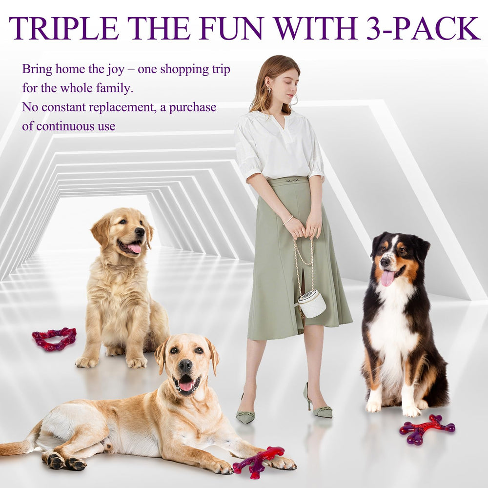 Frienhund triple-pack packaging concept showing three sturdy chew bones for multiple dogs.