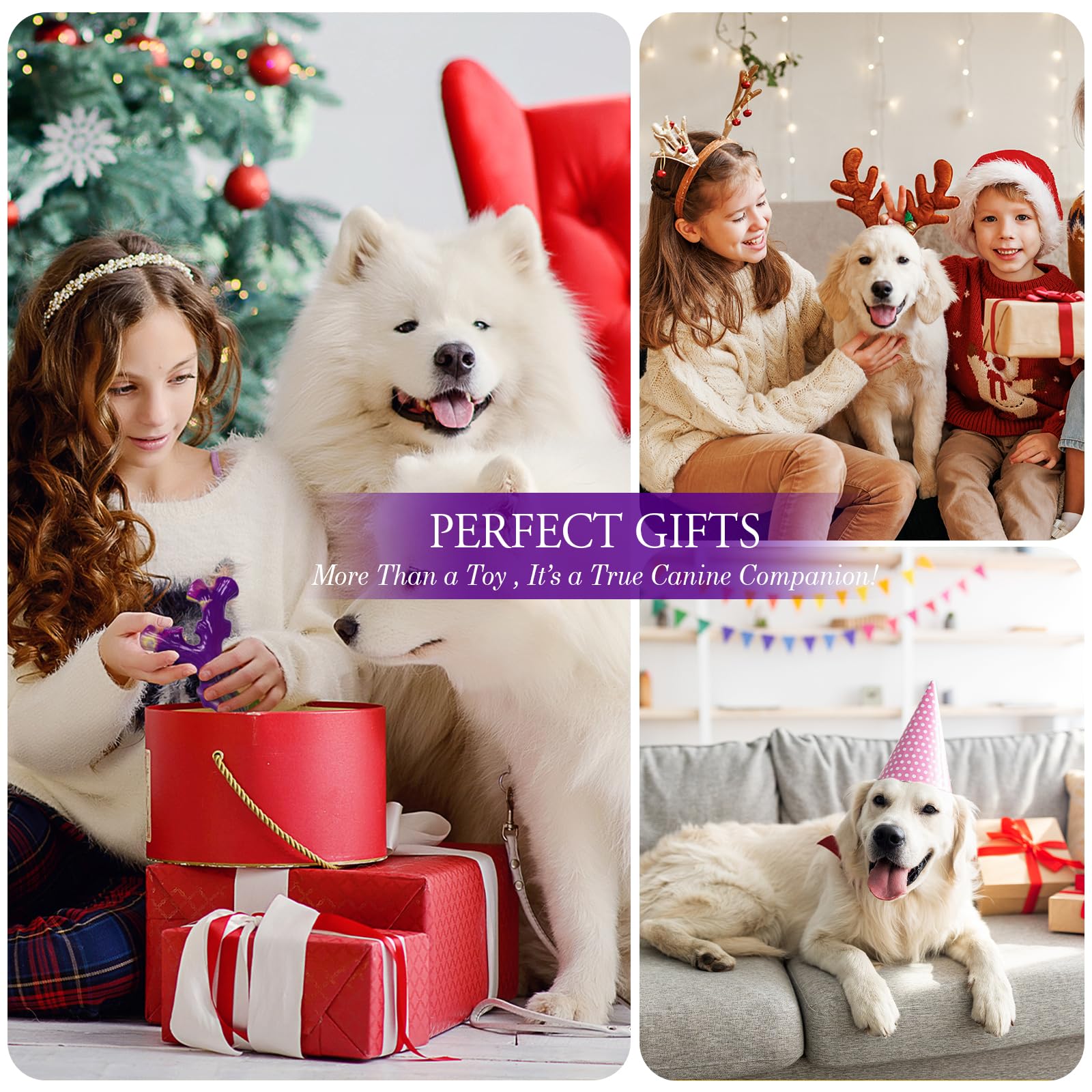 Frienhund interactive-chew toy-use helps redirect healthy chewing habits.