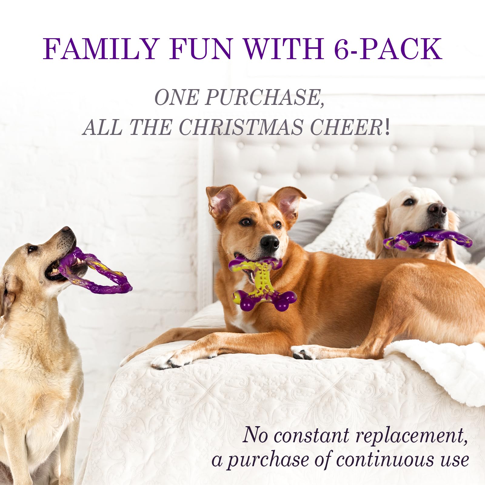 Frienhund interactive fillable toy turns meals into a treasure hunt