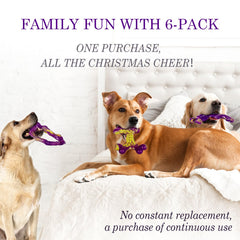 Frienhund interactive fillable toy turns meals into a treasure hunt
