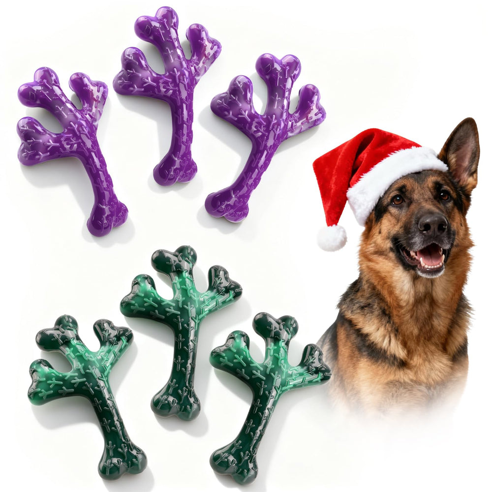 Frienhund indestructible nylon bone toy with beef flavor for tough chewers.