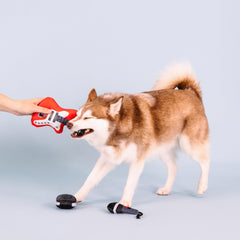 Fringe Studio Ready to Rock crinkle plush dog toy set adds exciting textures