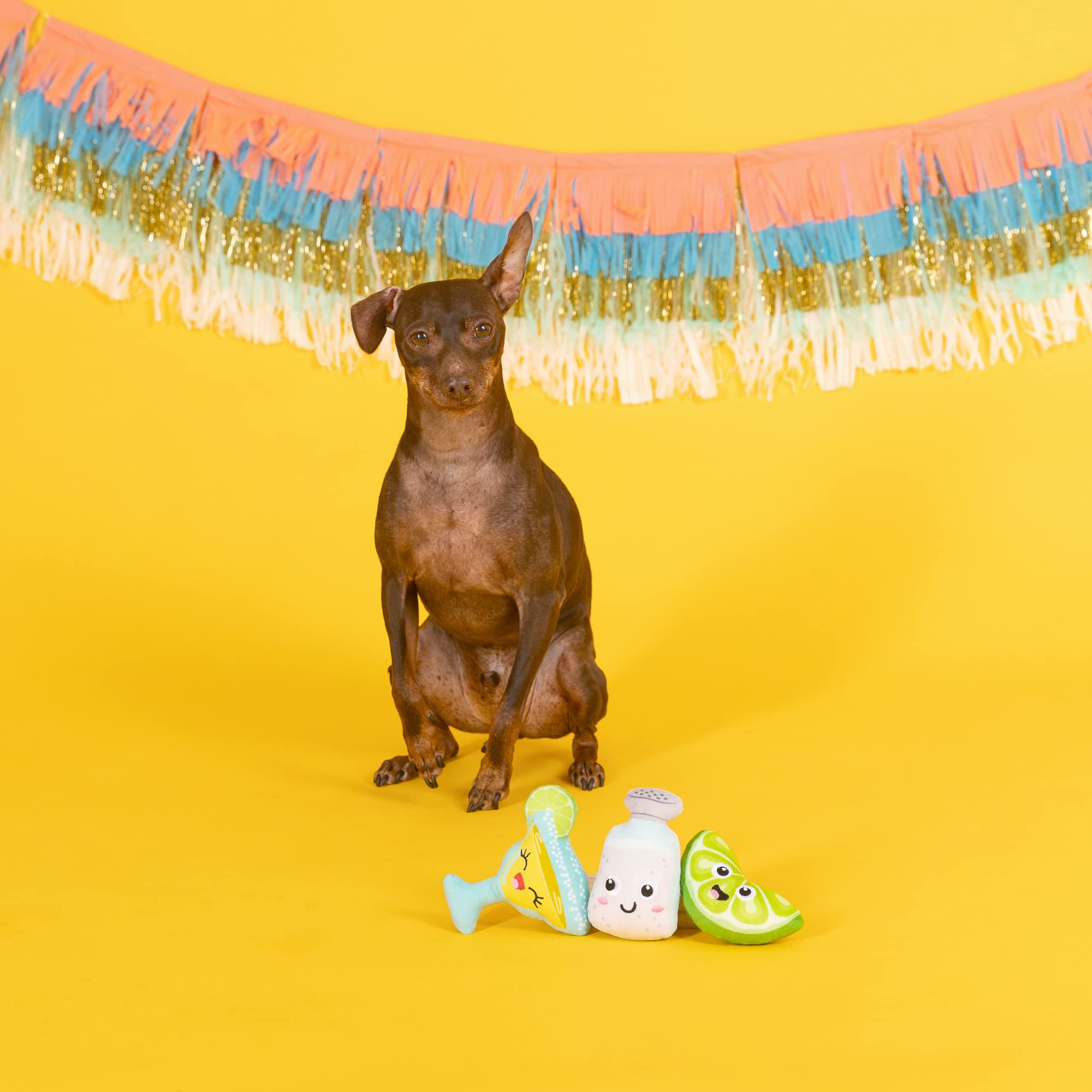 Fringe Studio Margarita Time plush dog toy set, close-up packaging, colorful squeaks for engaging fetch and cuddling.