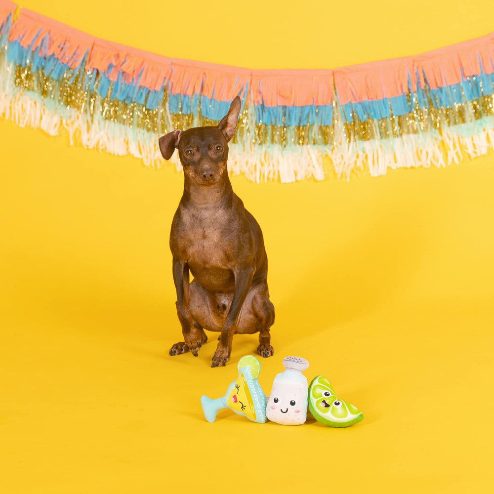 Fringe Studio Margarita Time plush dog toy set, close-up packaging, colorful squeaks for engaging fetch and cuddling.