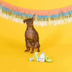 Fringe Studio Margarita Time plush dog toy set, close-up packaging, colorful squeaks for engaging fetch and cuddling.