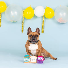 Fringe Studio Sticky Situation jelly toy with squeaker for small-dog fetch