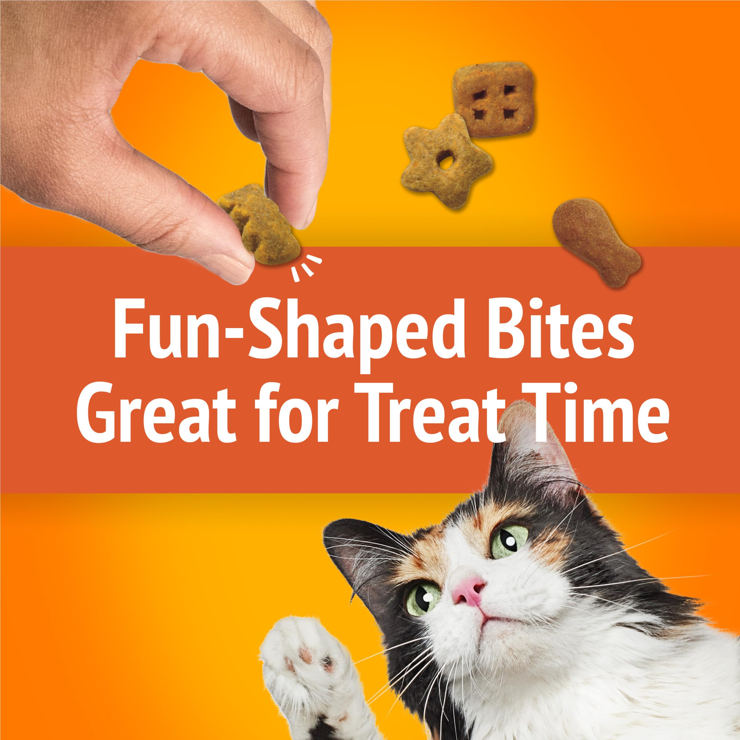 Friskies 90-years innovation heritage highlighting long-standing Purina expertise.