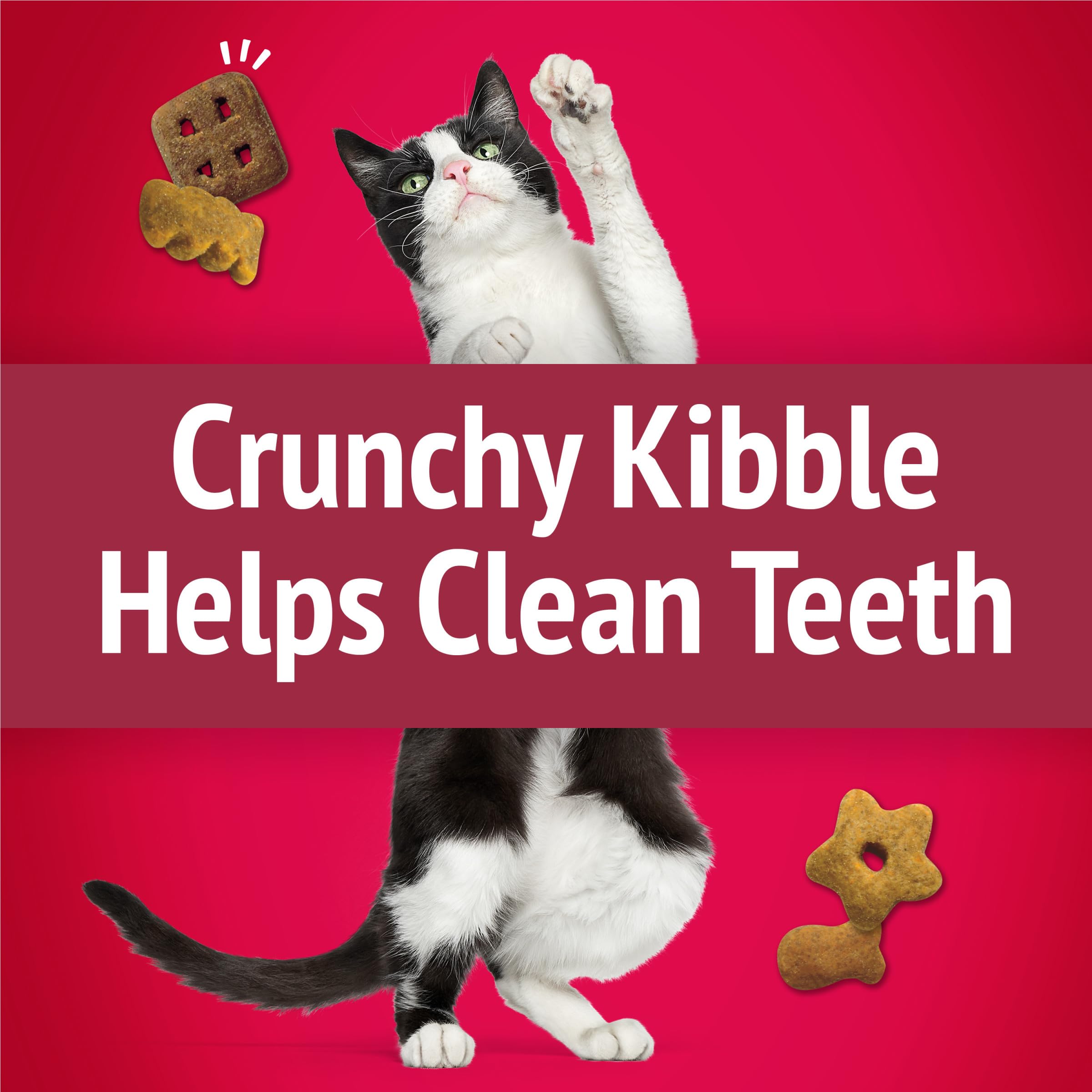 Friskies Crunchy texture close-up suggests a satisfying bite and chewing rhythm.