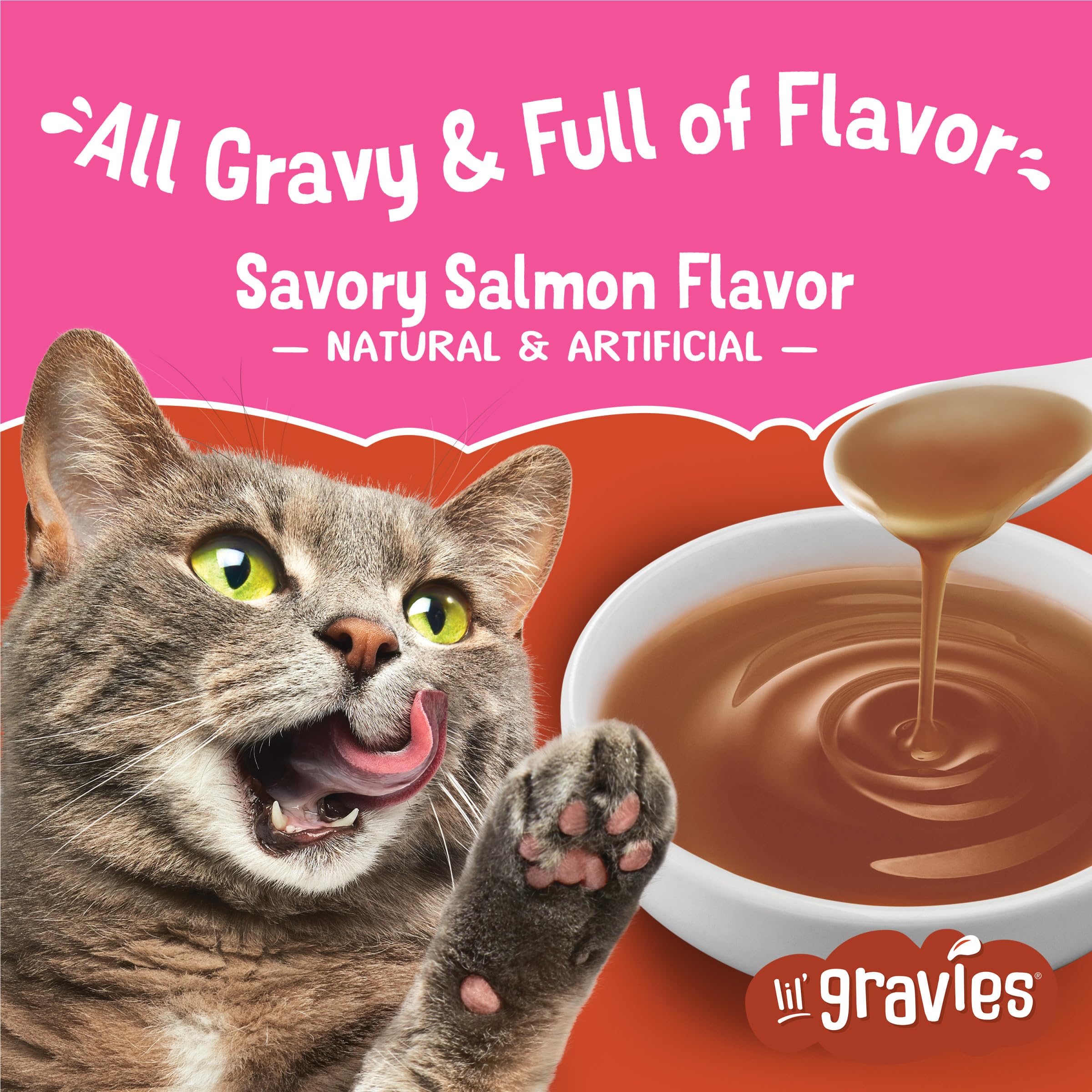 Friskies Lil' Gravies gravy topping on kibble adds tasty moisture.
