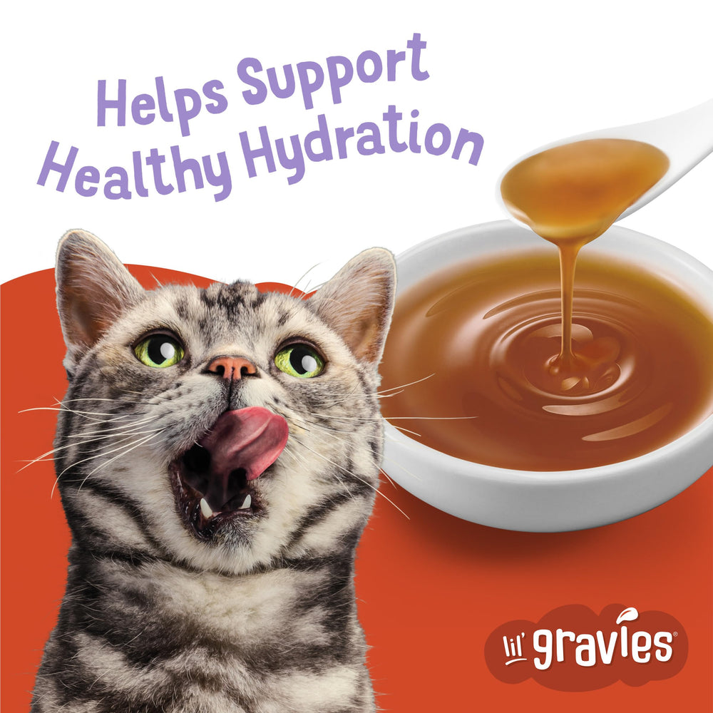 Friskies Lil' Gravies lickable-treat on dry food boosts flavor and texture