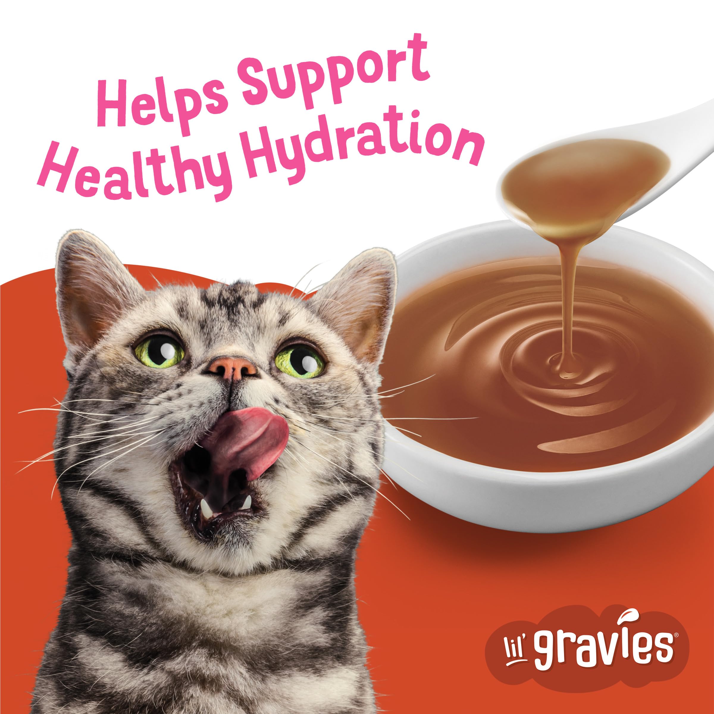 Friskies Lil' Gravies lickable treat boosts flavor as a snack.