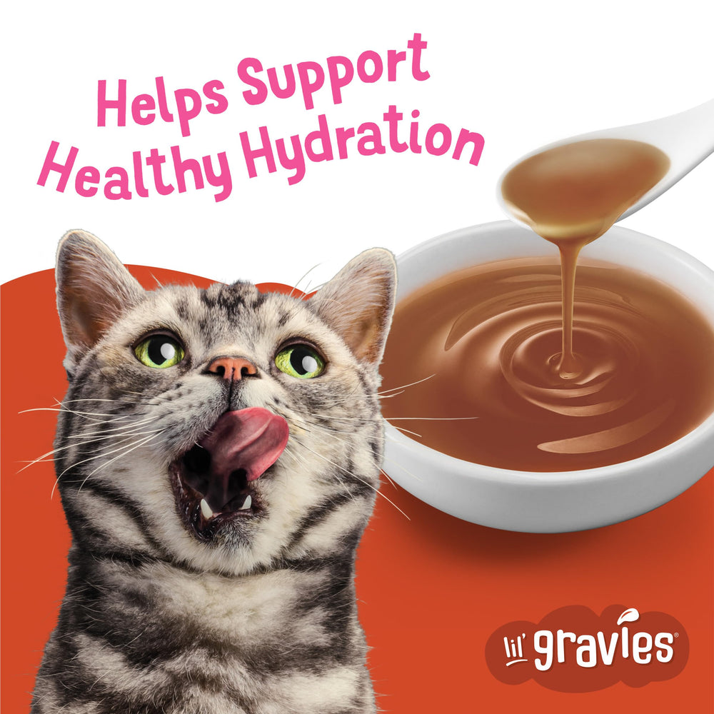 Friskies Lil' Gravies lickable treat boosts flavor as a snack.