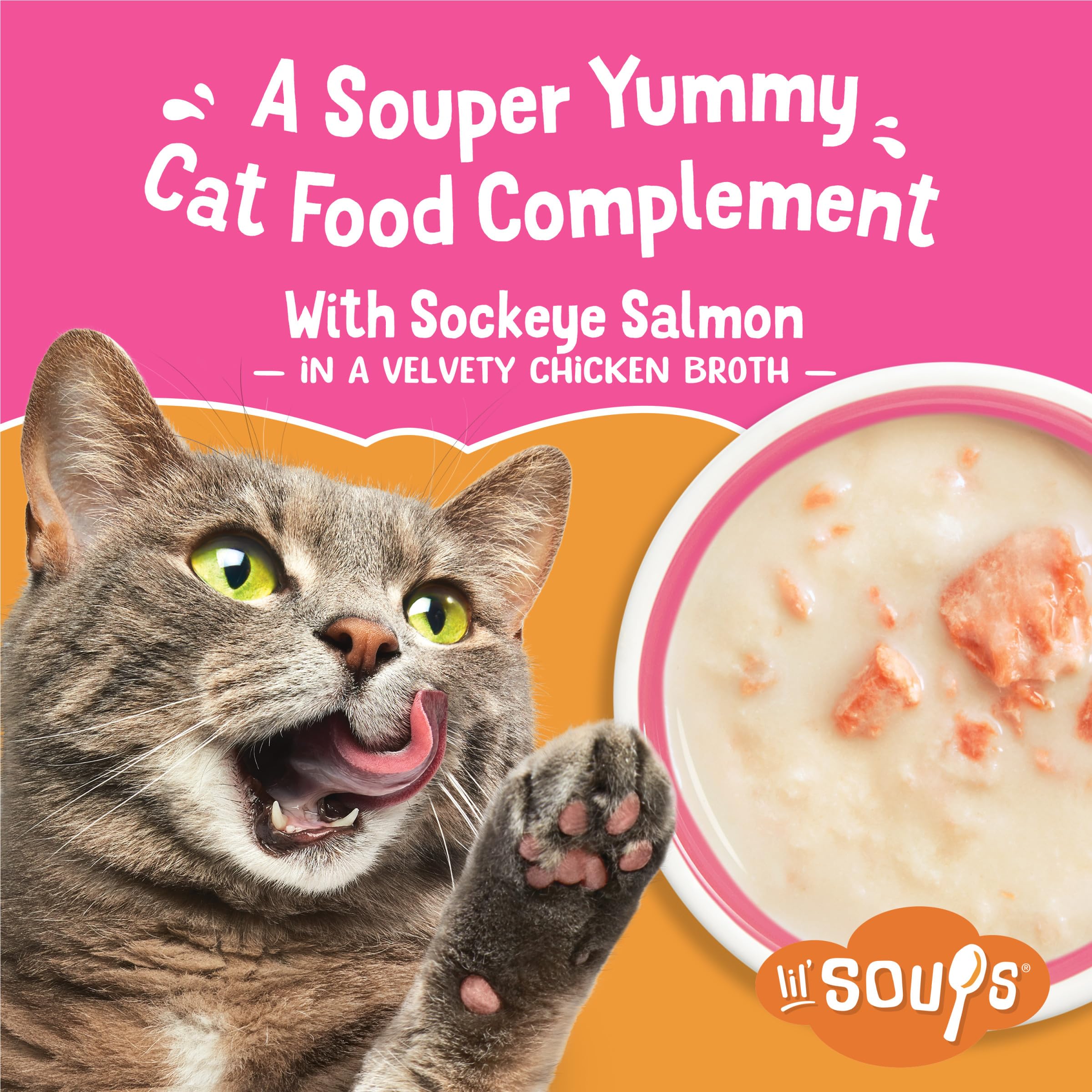 Friskies Lil' Soups velvety chicken broth closeup highlights silky texture