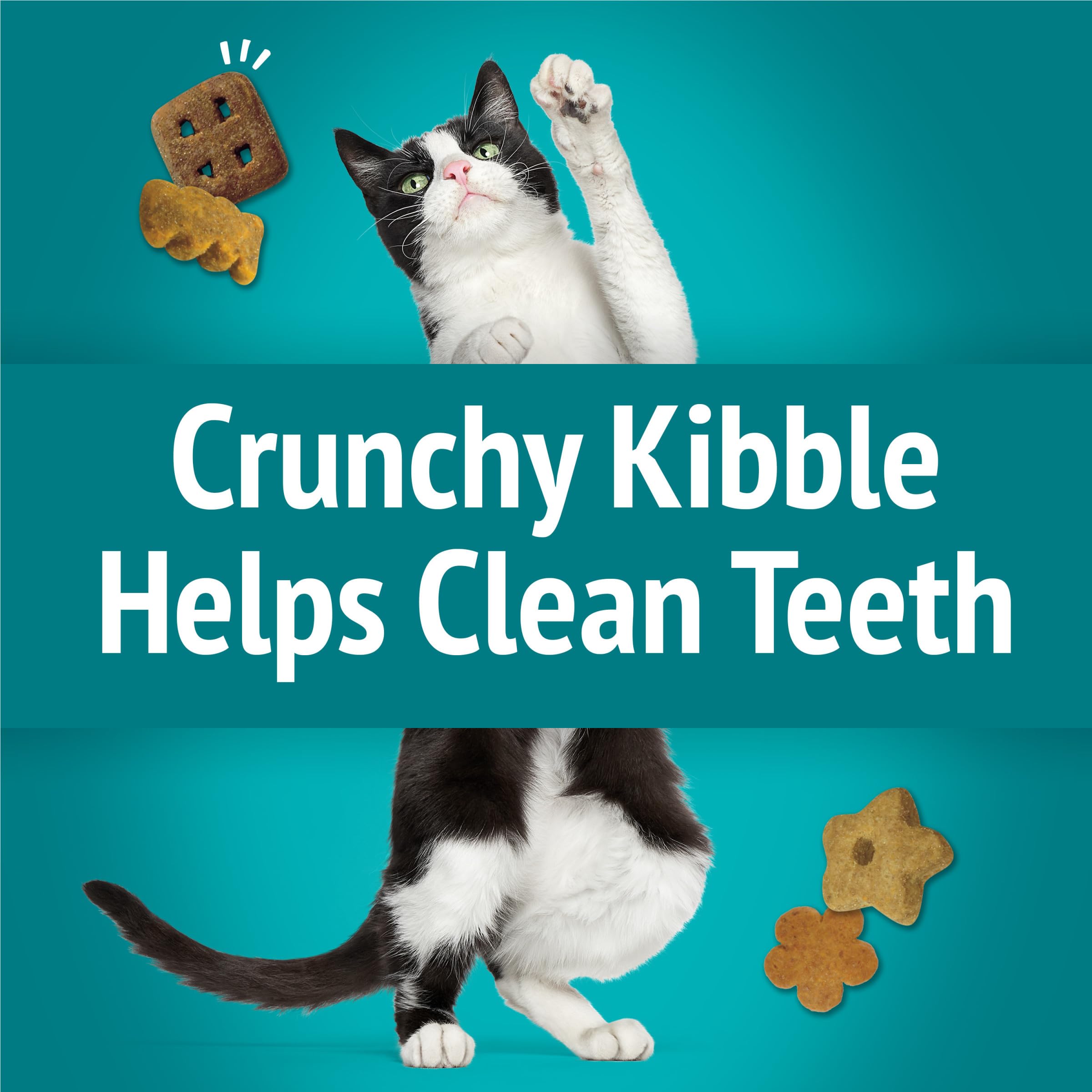 Friskies Meow Luau Crunch with pork and crab flavors adds layered seafood appeal.