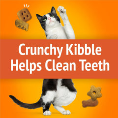 Friskies Party Mix Original Crunch packaging shows two 20-ounce bags for value