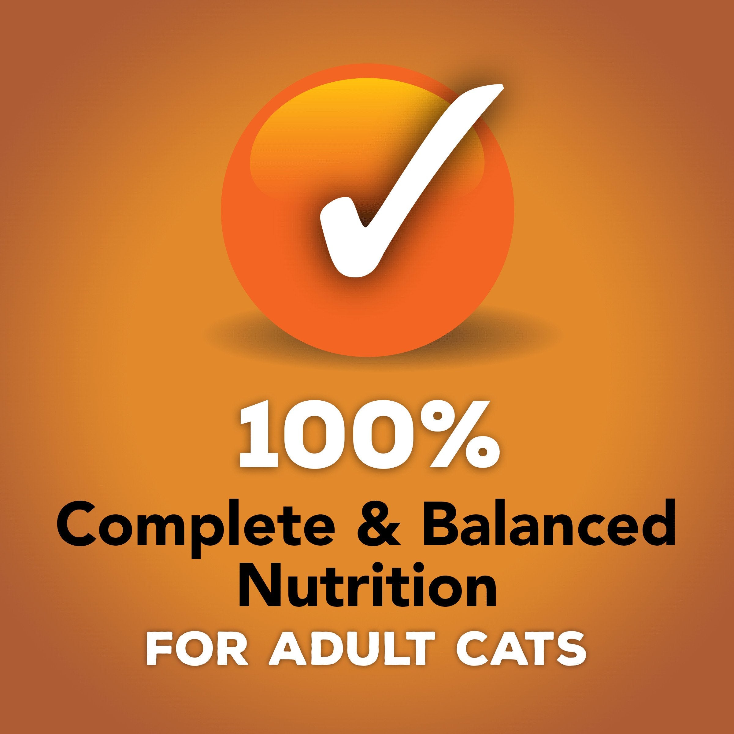 Friskies pate smooth texture bowl for easy dining