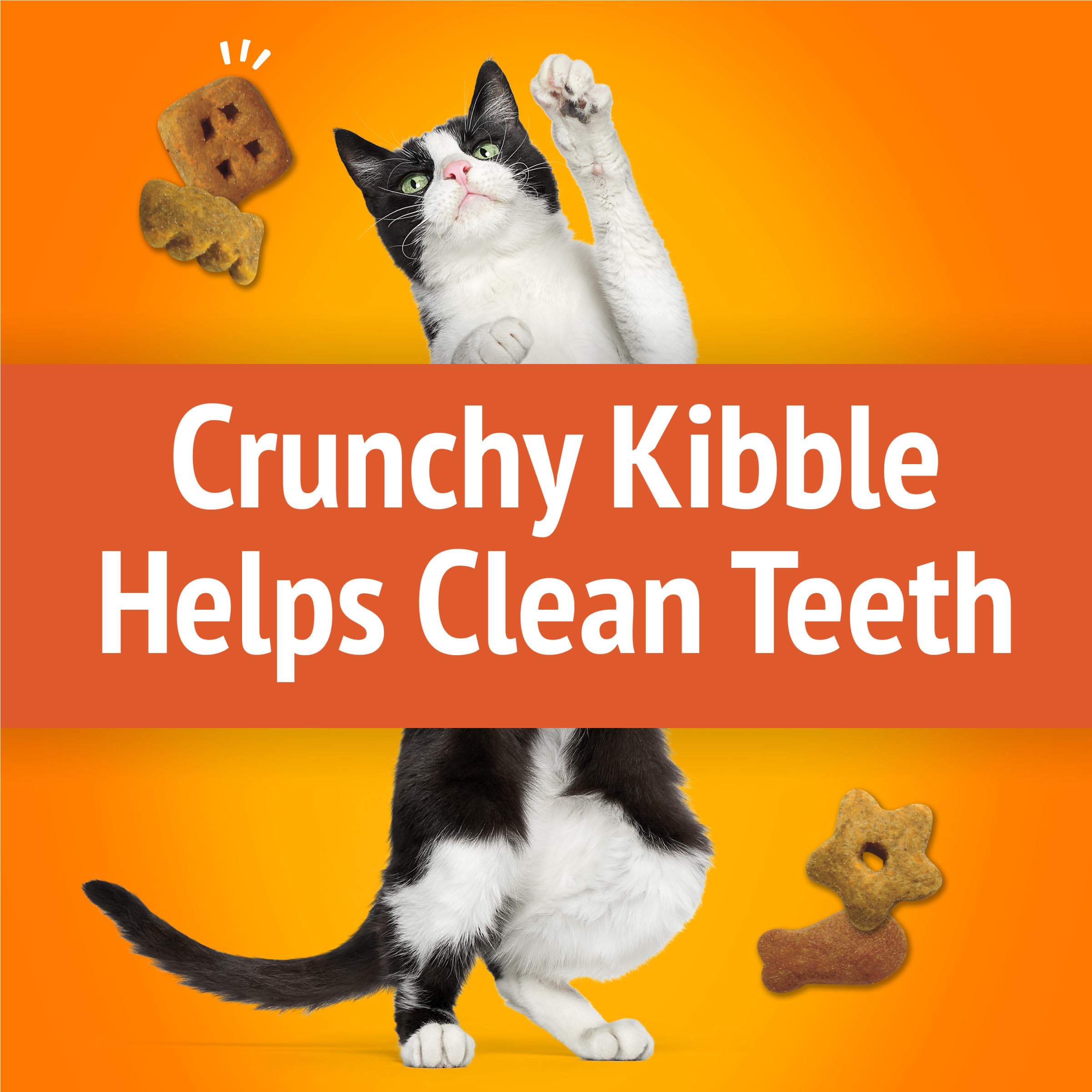 Friskies playful-treat-shapes display fun shapes that boost snack-time excitement.