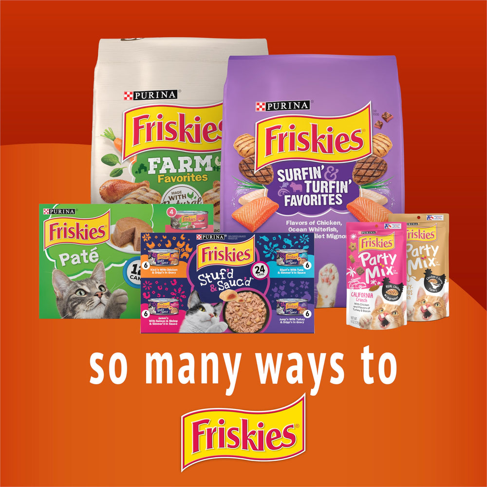 Friskies Playfuls cat bonding moment promotes interaction
