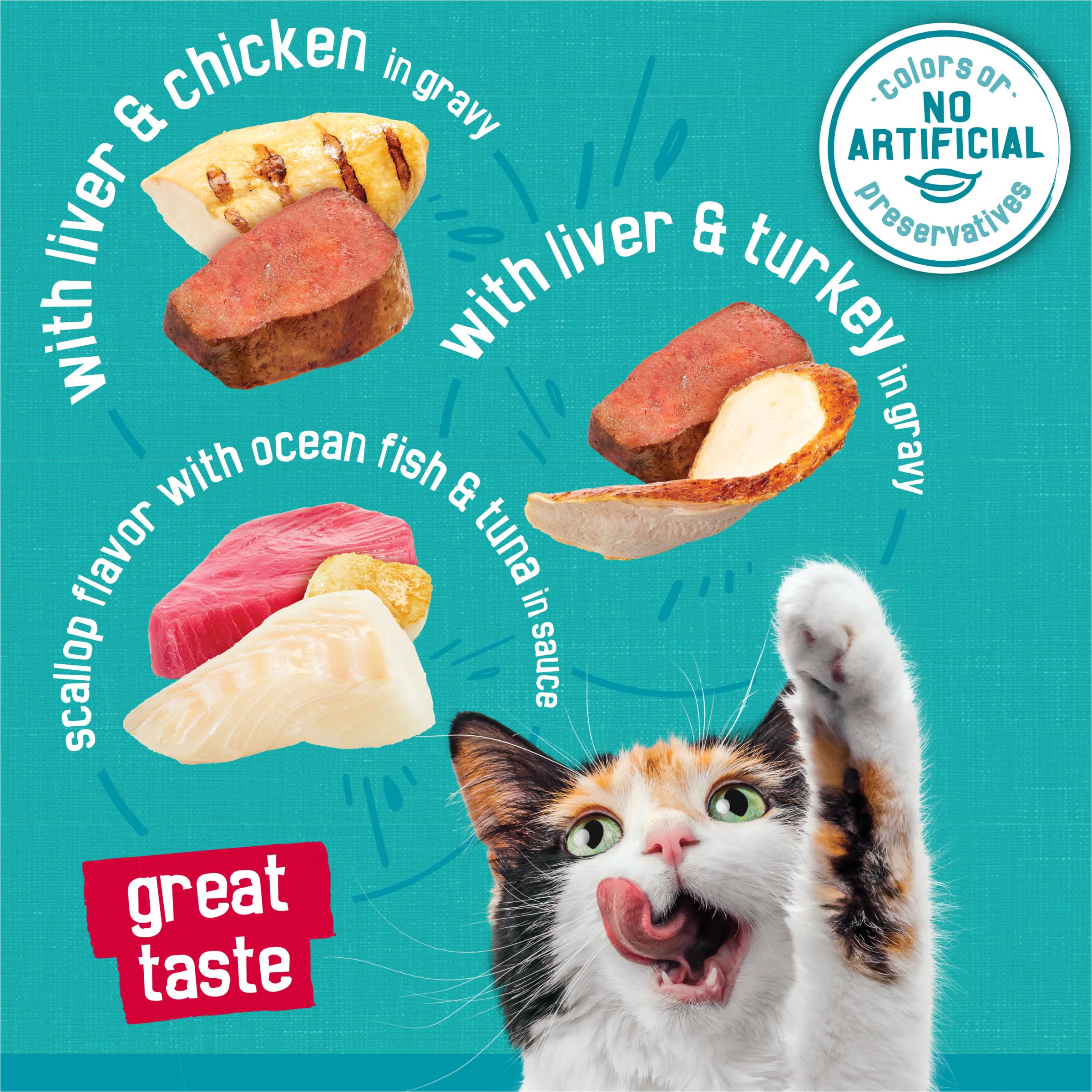Friskies Tasty Treasures Prime Filets ocean fish-tuna close-up showing savory gravy