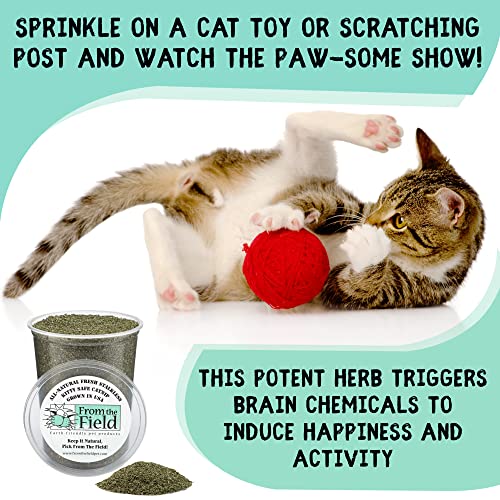 From The Field Fine Ground Stalkless Catnip packaging reseal demonstrates freshness for ongoing play sessions.