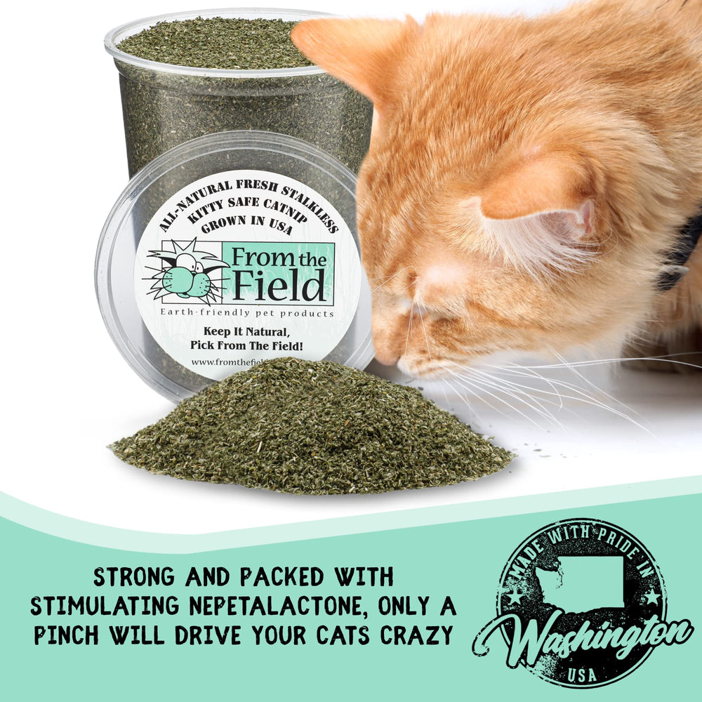 From The Field Fine Ground Stalkless Catnip invites curious cats during playtime with natural aroma.