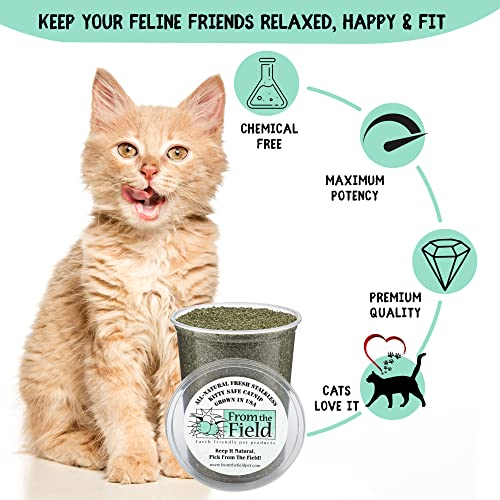 From The Field Fine Ground Stalkless Catnip texture closeup ideal for filling toys with scent.