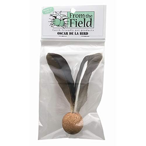 From The Field Oscar De La Bird toy in action during interactive play sessions.