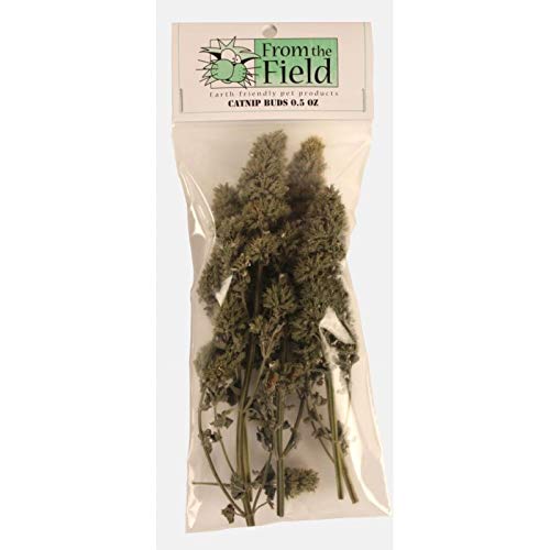 From The Field premium rare catnip buds offering exclusive enrichment for curious cats.