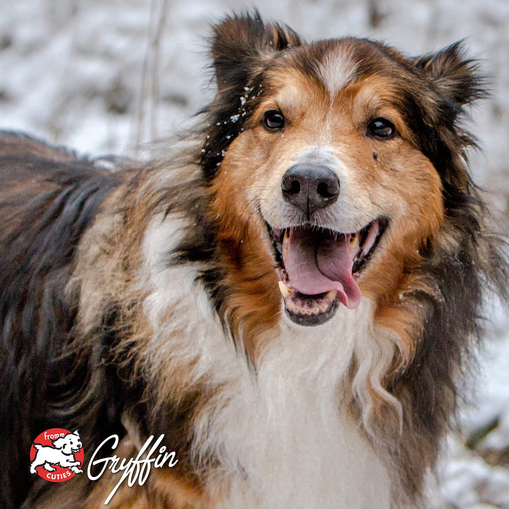 Fromm AAFCO nutritional profile all-life-stages label signals suitability for growing puppies to seniors.
