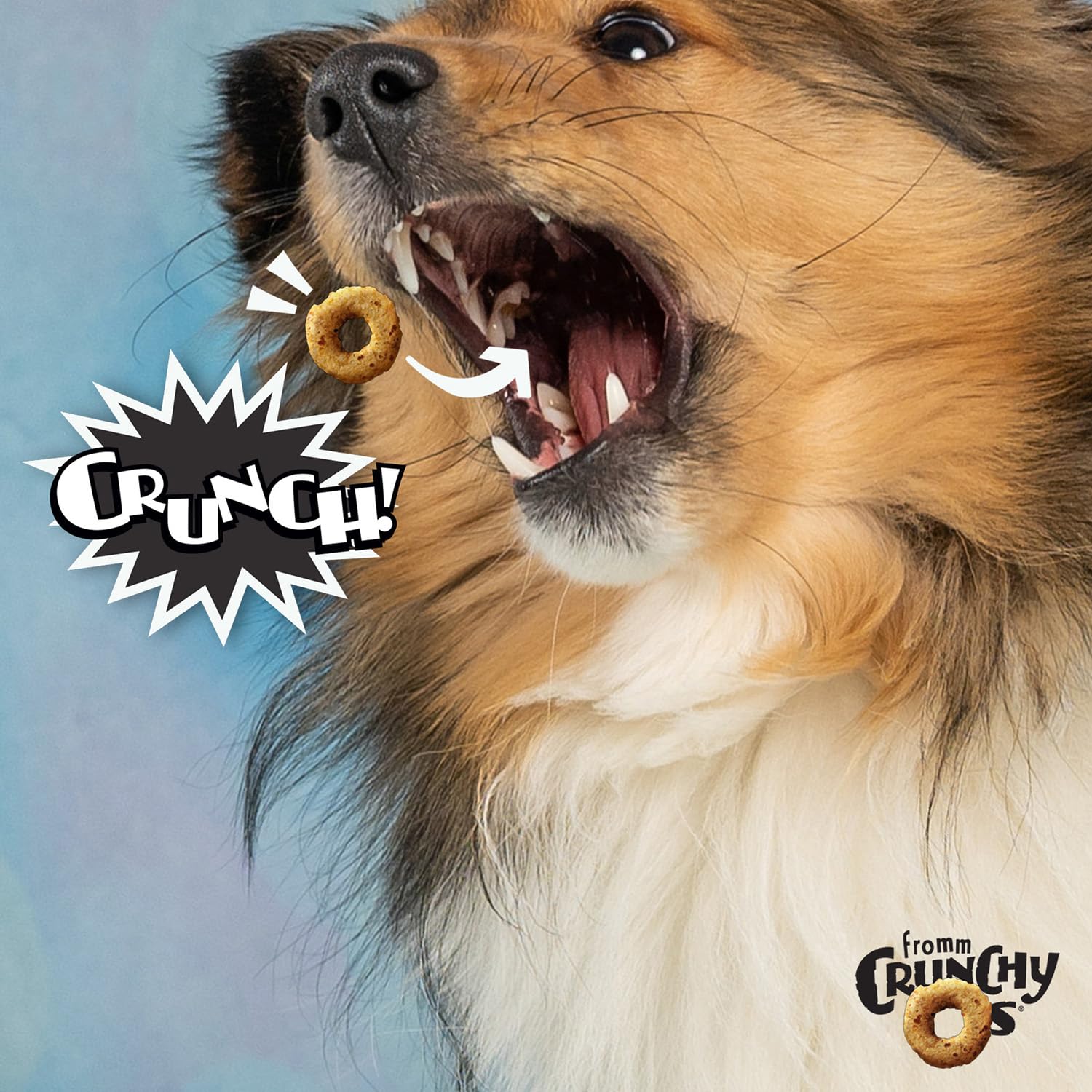 Fromm Crunchy Os Bacon Blasters treat closeup highlights a crunchy bite ideal for training rewards.