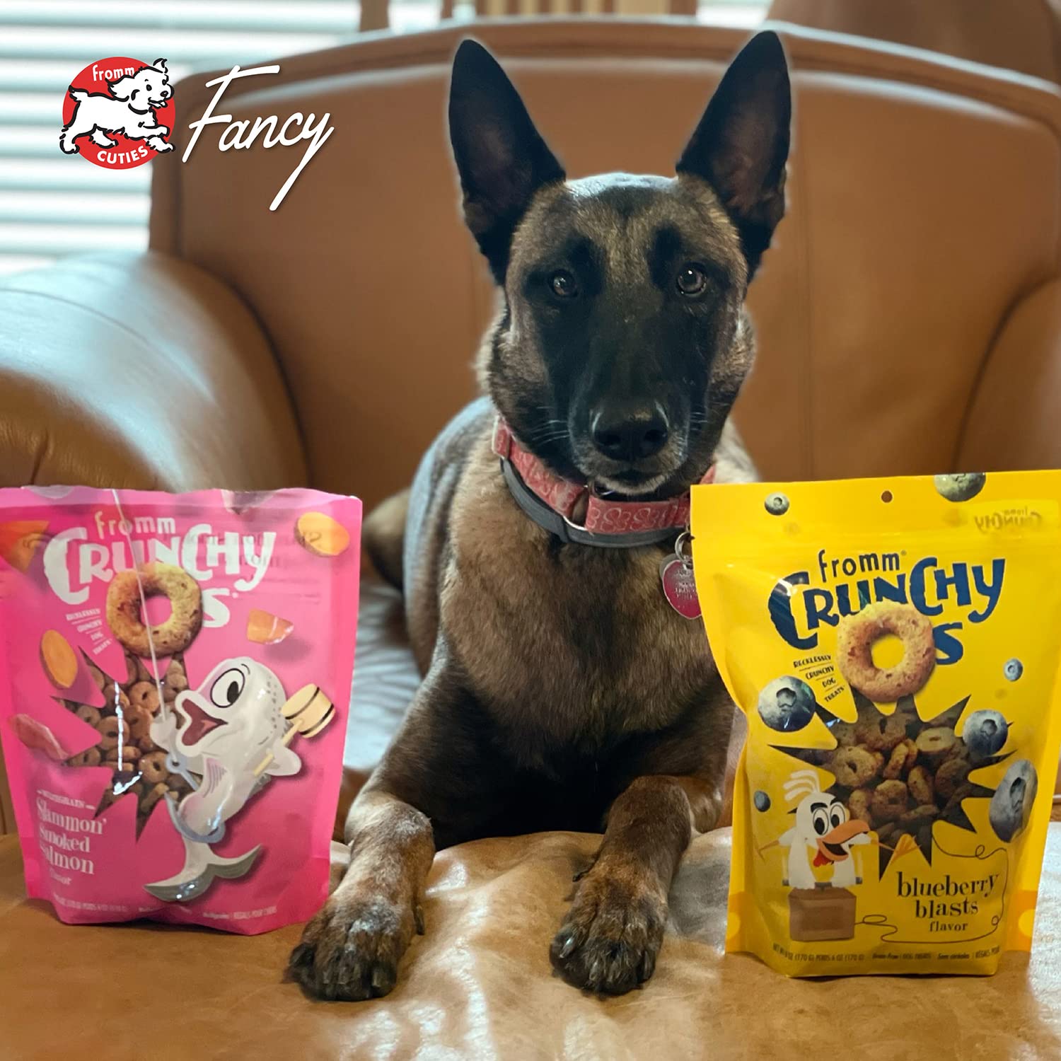 Fromm Crunchy Os Blueberry Blasts suitable for dogs of all ages and sizes.
