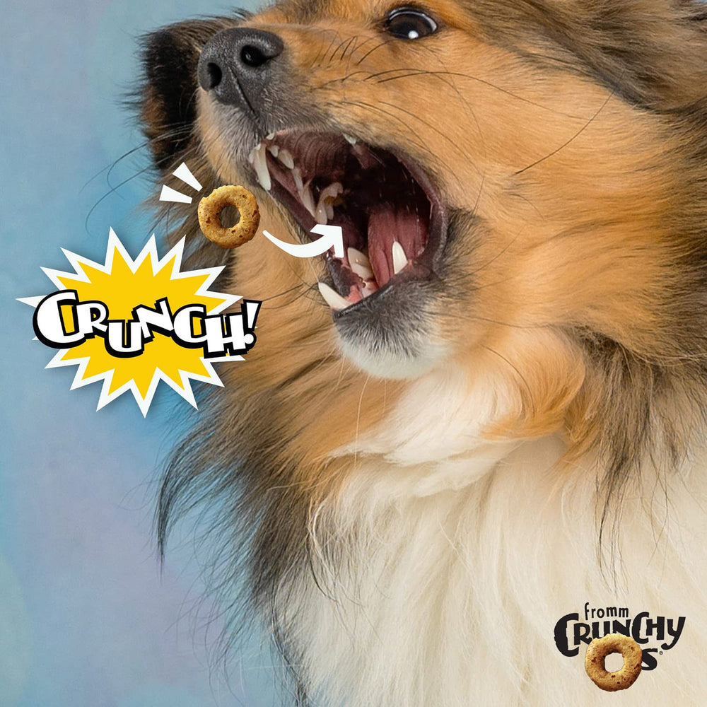 Fromm Crunchy Os Blueberry Blasts close-up treats reveal chicken and blueberries for tasty crunch.