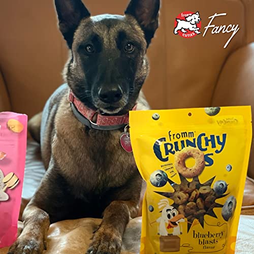 Fromm Crunchy Os on-the-go snack option for dogs during busy days.