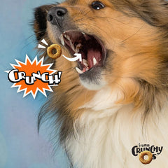 Fromm Crunchy Os Peanut Butter Jammers bag back with feeding guidance and ingredients