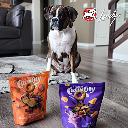 Dog enjoys Fromm Crunchy Os treats during a reward moment