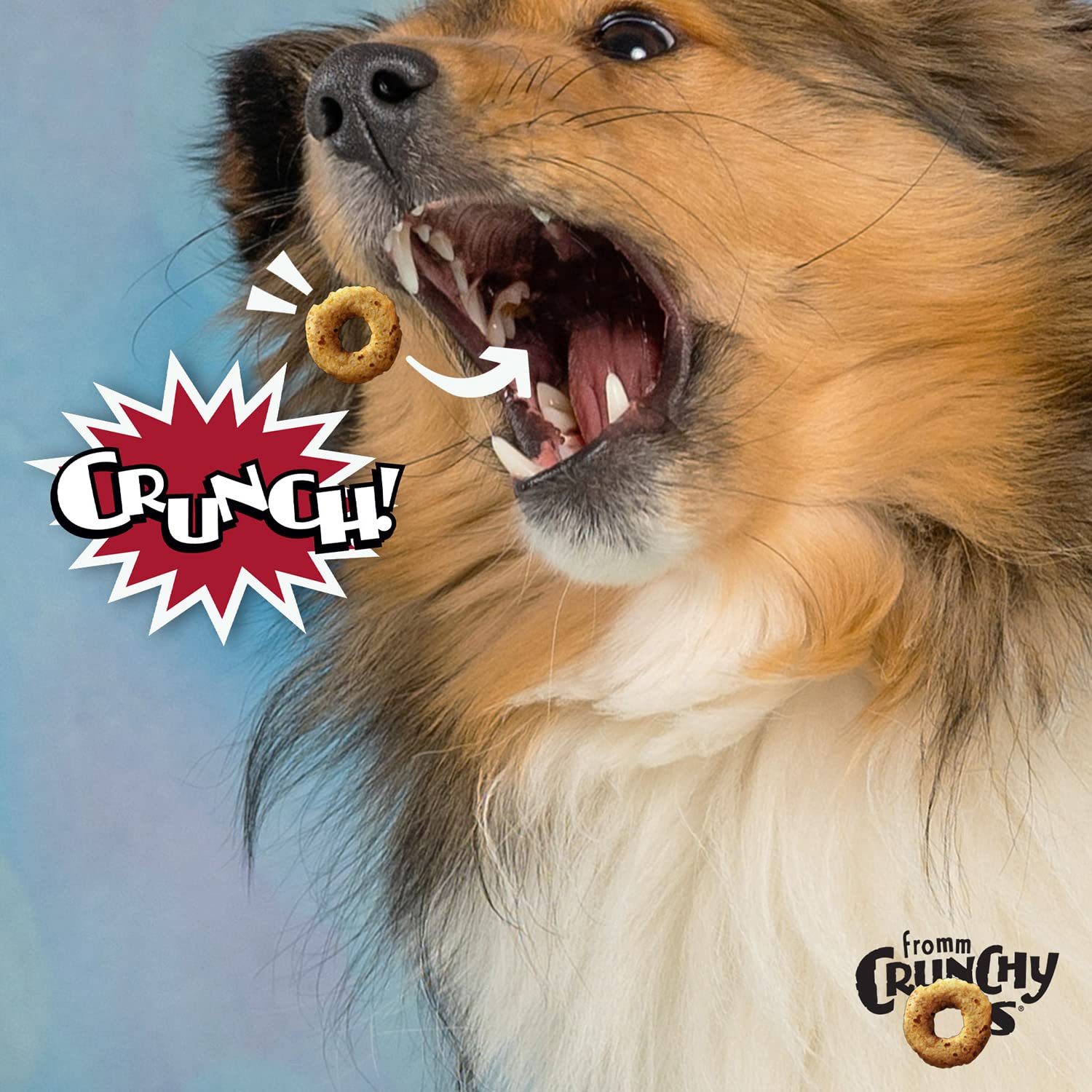 Fromm Crunchy Os Pot Roast Punchers bag open revealing crunchy beef treats.