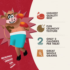Fromm Crunchy Os Pot Roast Punchers beef recipe treats shown for dogs.