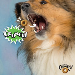 Fromm Crunchy Os Pumpkin Kran Pow treat in palm for training reward.