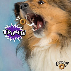 Fromm Crunchy Os Smokin' CheesePlosions crunch close-up shows tasty texture for training.