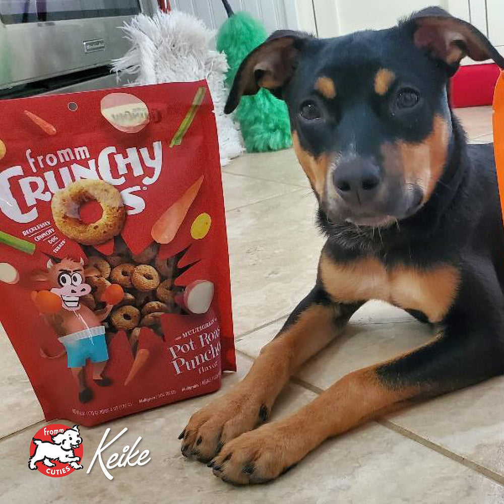 Fromm Crunchy Os training-ready bite-sized snack for positive reinforcement.