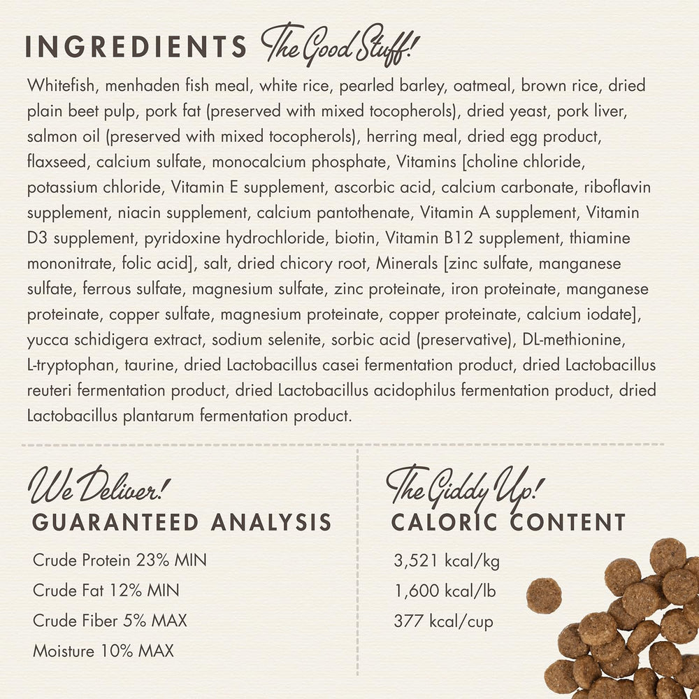 Fromm Family-Owned Brand kibble demonstrates heritage, trust, and careful formulation.