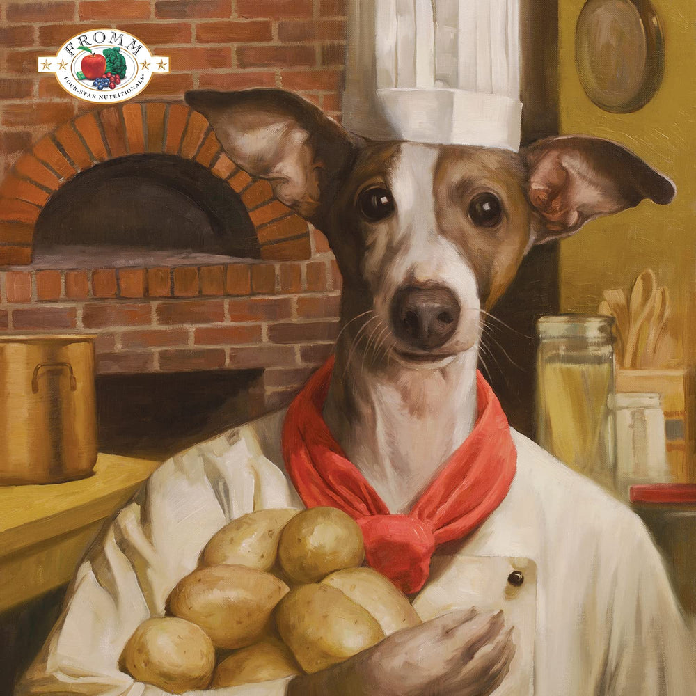 Fromm Four-Star Beef Frittata kibble close-up showcases high-quality beef protein for muscles.
