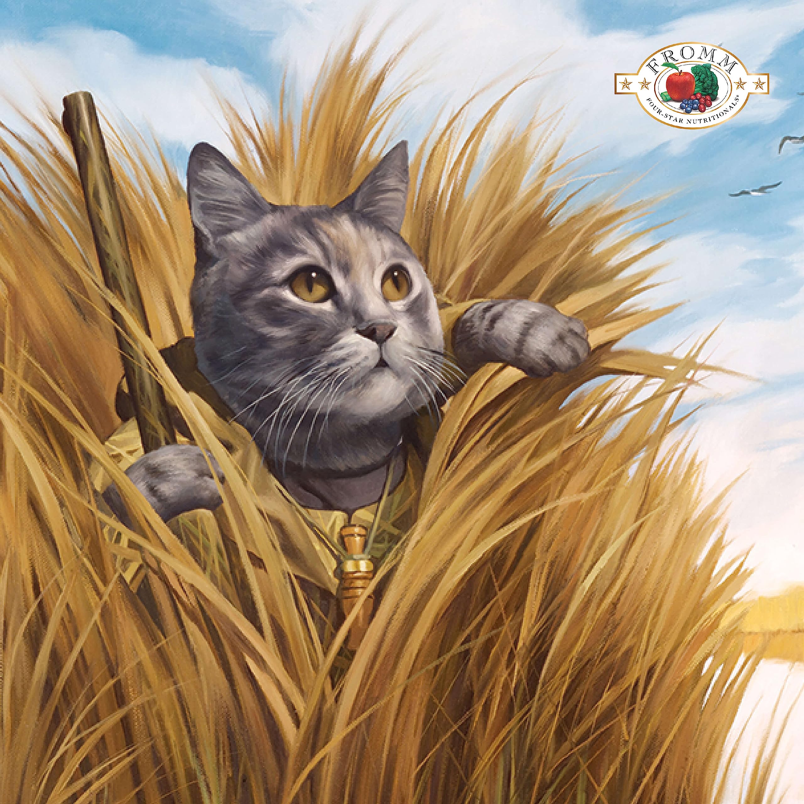 Fromm Four-Star game bird kibble close-up, appealing texture for cat meal times.