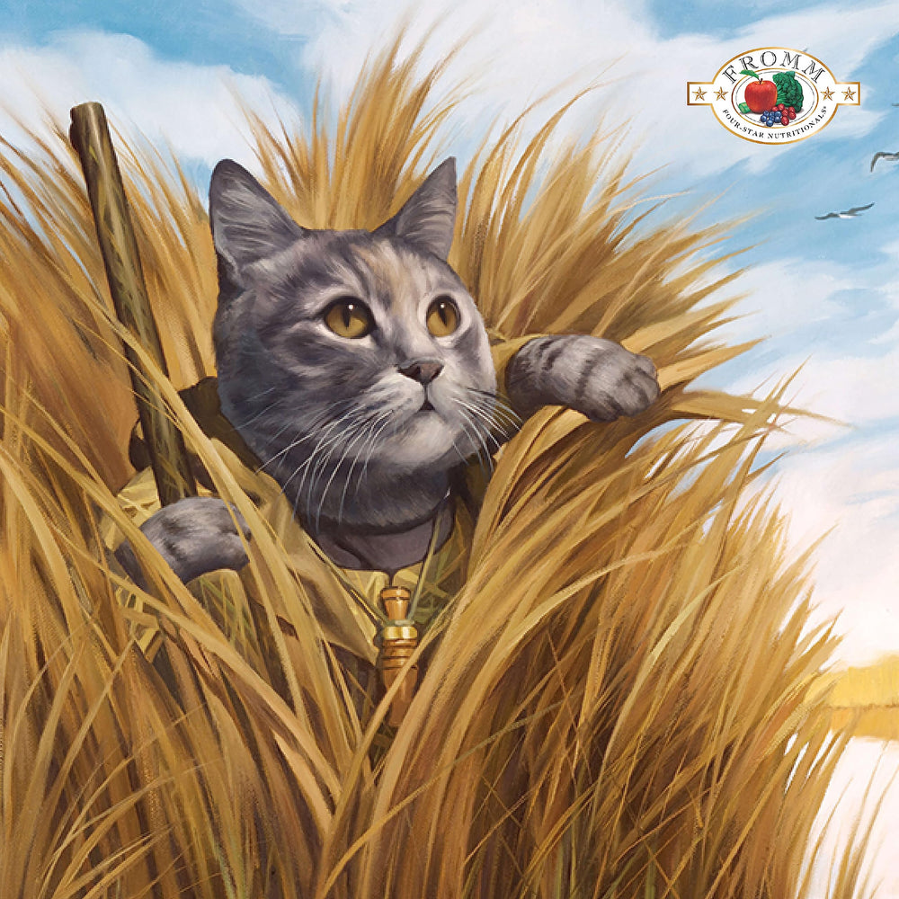 Fromm Four-Star game bird kibble close-up, appealing texture for cat meal times.