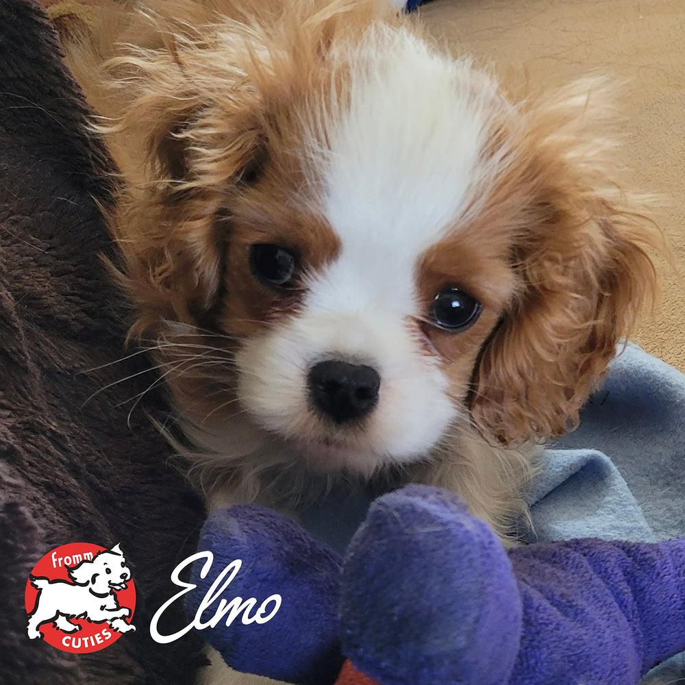 Fromm Heartland Gold Puppy 4lb bag open showing convenient feeding option