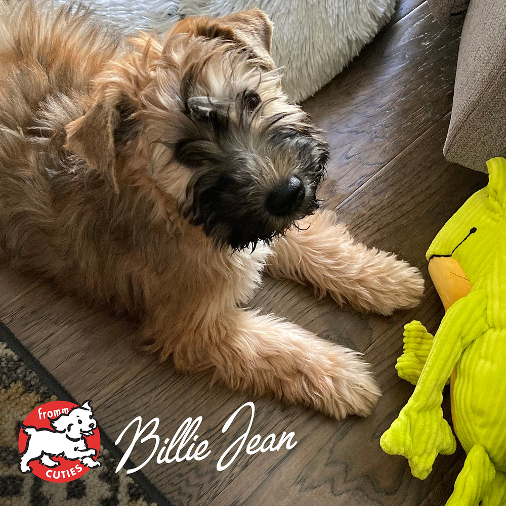 Fromm Heartland Gold Puppy packaging on shelf signaling trusted family brand