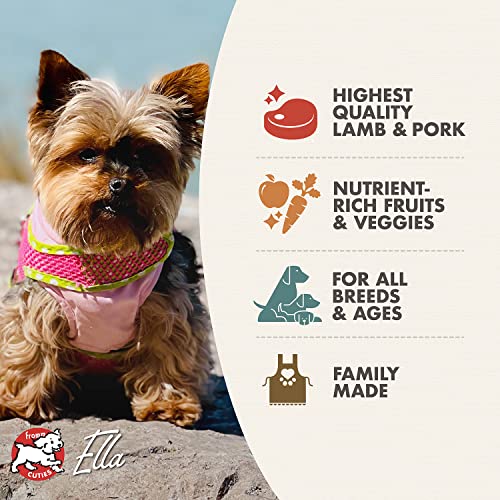 Fromm Four-Star lamb-meal kibble closeup emphasizes digestible protein and palatability.