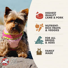 Fromm Four-Star lamb-meal kibble closeup emphasizes digestible protein and palatability.