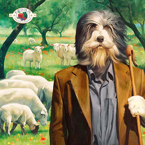Fromm Four-Star Lamb & Lentil dog kibble in bag and bowl highlighting premium protein and flavor.