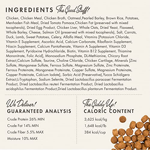 Fromm Large Breed Puppy Gold serving-bowl shot demonstrates portion control and consistent feeding.